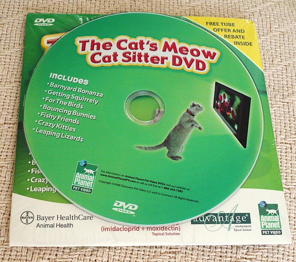 CAT SITTER DVD with CARE AND FEEDING DVD - MINT!