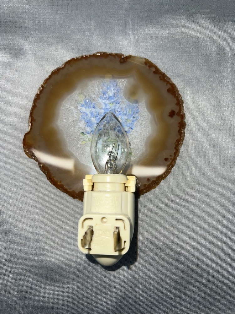 Vintage Blue Bonnet Texas Night Light