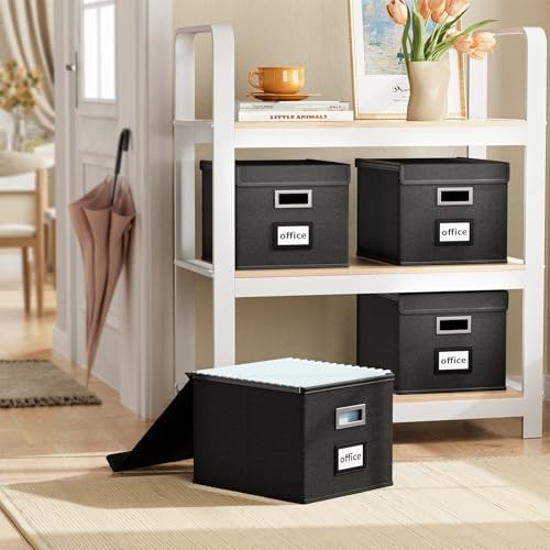 Upgraded File Organizer Boxes with Lids, 2 pack - without folders Black