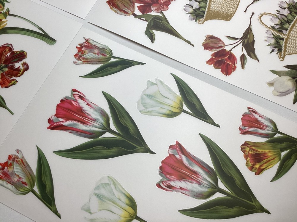 Anna Griffin Tulip Rub On Transfers