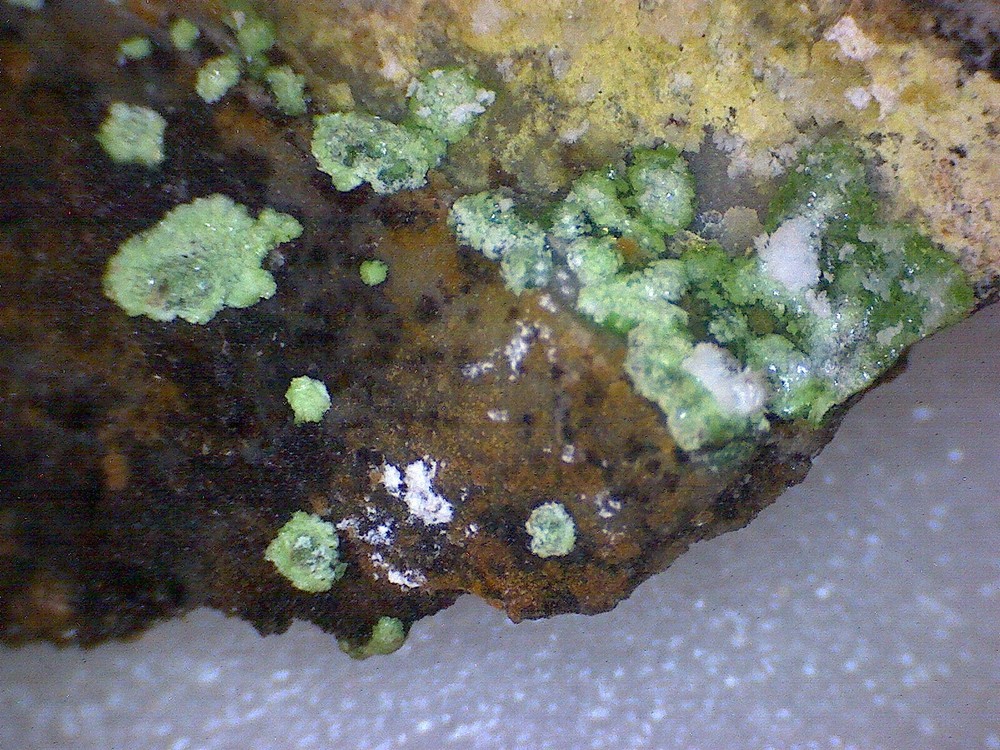 Nice Cuproadamite Specimen