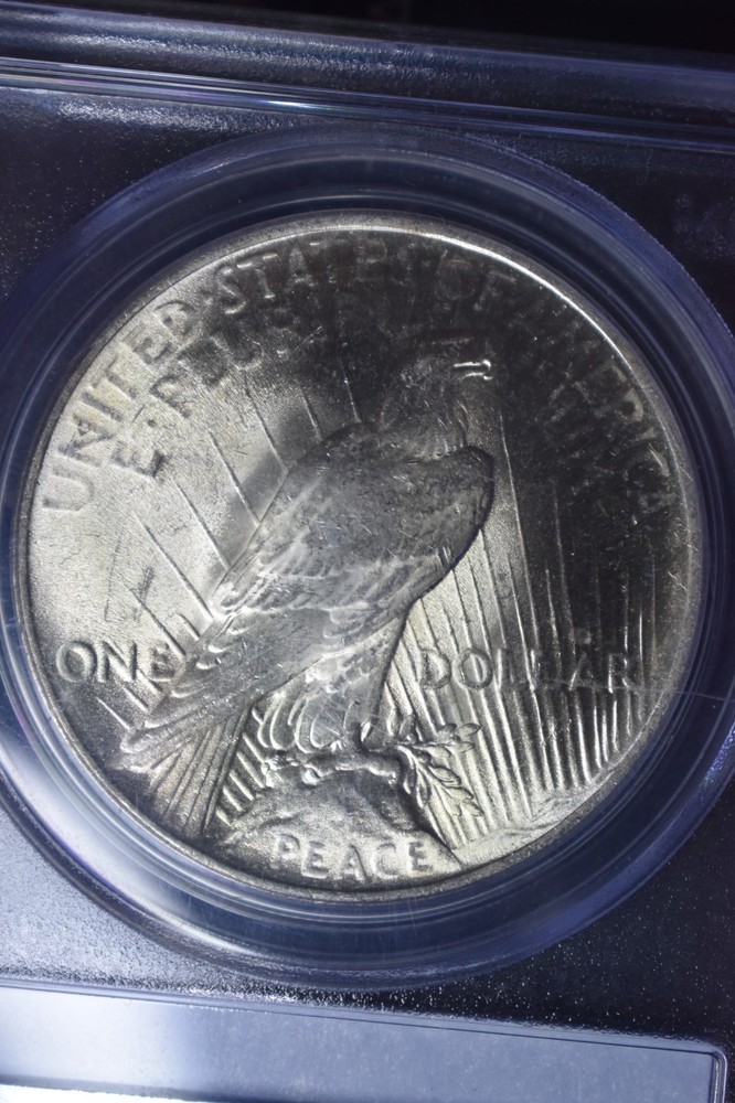 1924 Peace $1 PCGS MS64