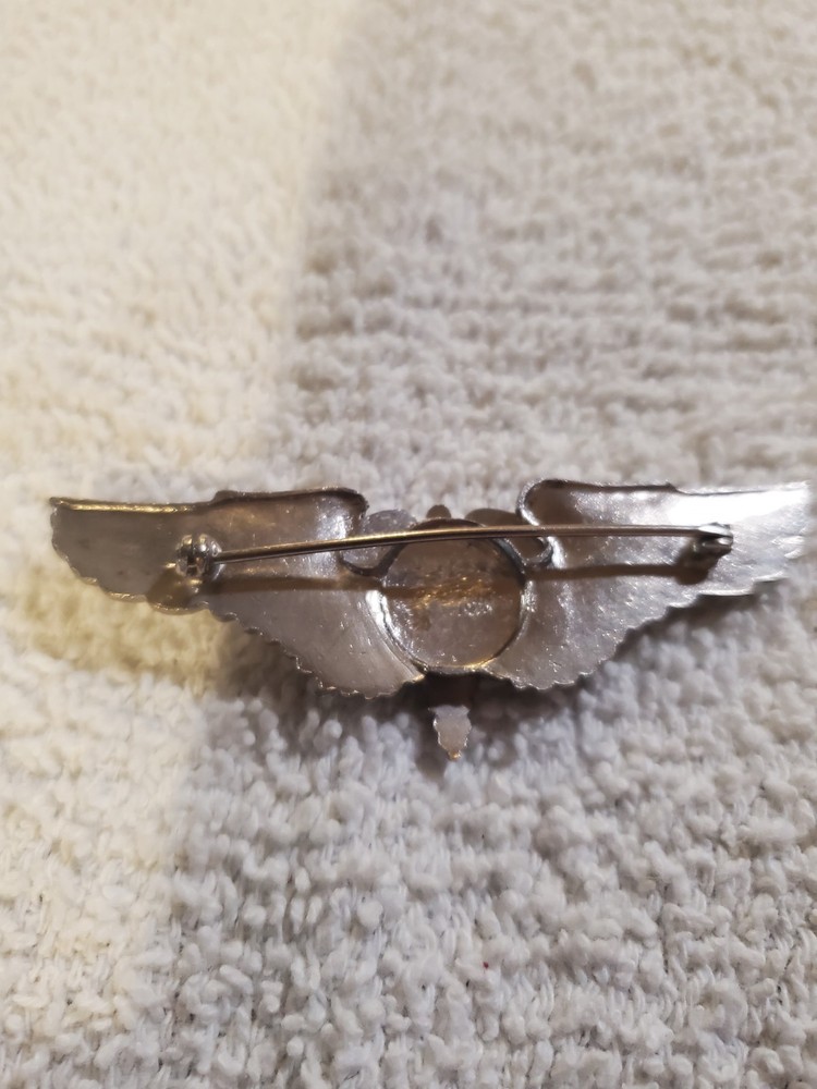 *Air Force Flight Surgeon Wings