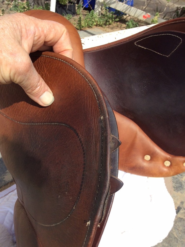 Antares Jumping Saddle, 16.5"