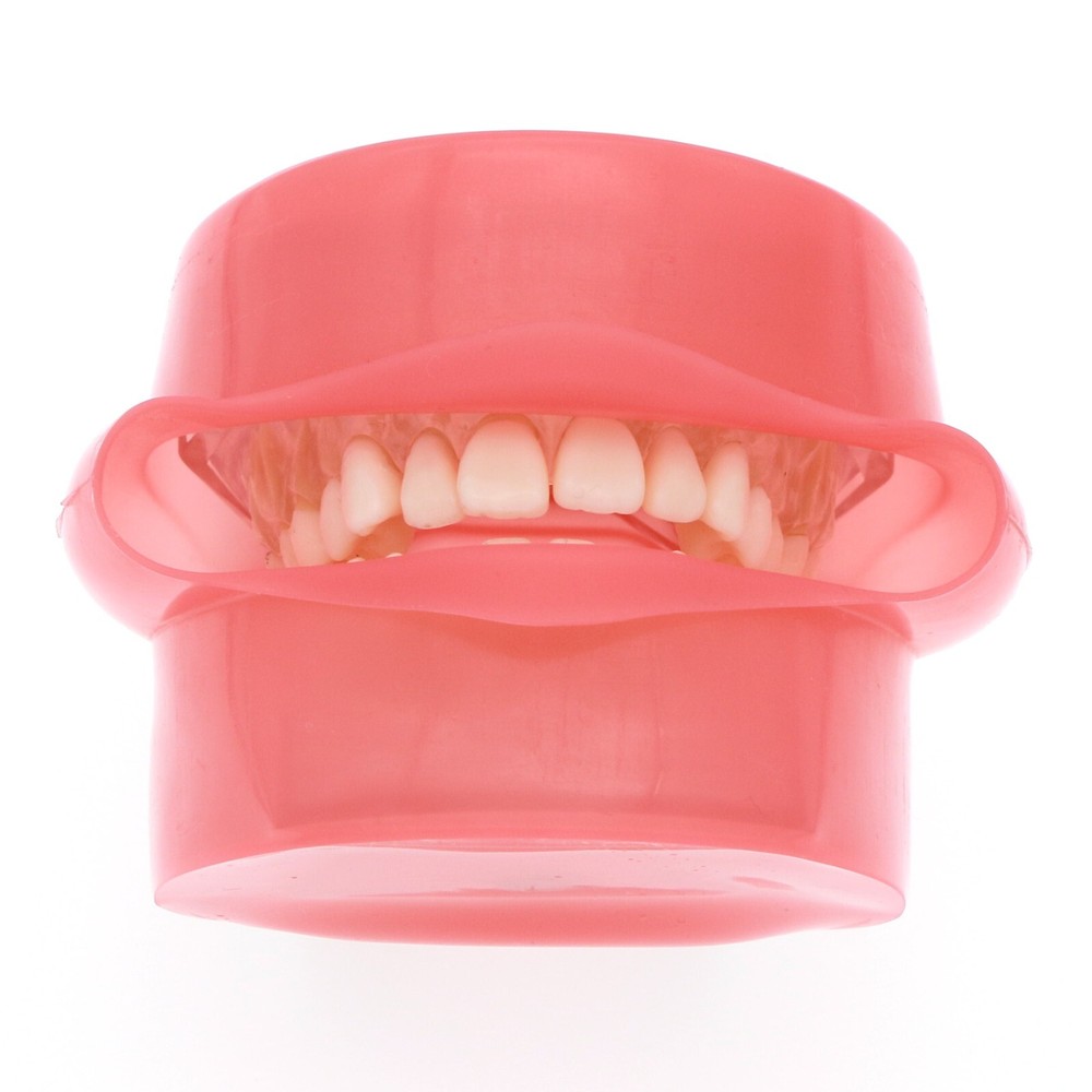 M7008 + Simulation Cheek Dental Typodont Practice Removable Teeth Model Soft Gum