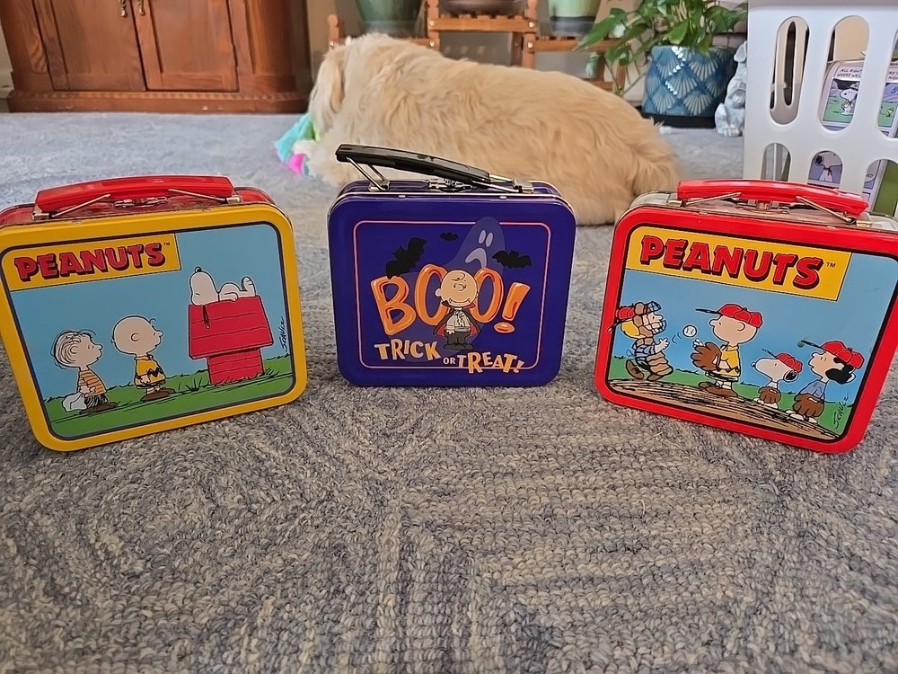 Peanuts Mini Lunchboxes Set Of 3