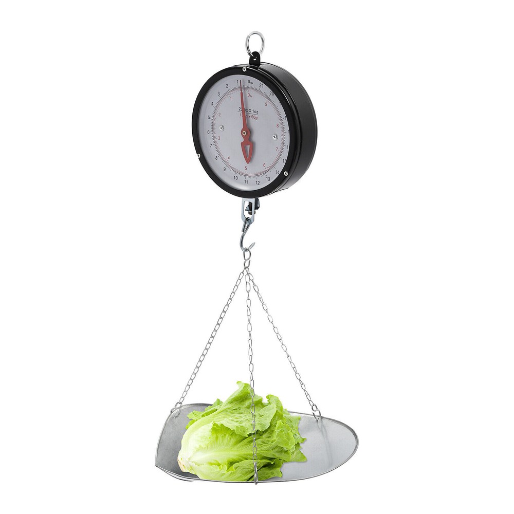 Double-Sided Dial Hanging Scale 22lbs with Galvanized Tray for Easy Weighing