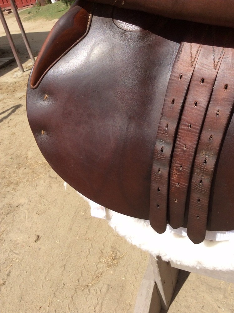 Antares Jumping Saddle, 16.5"