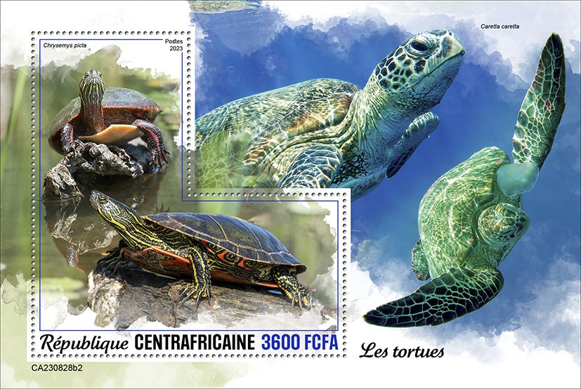 Turtles