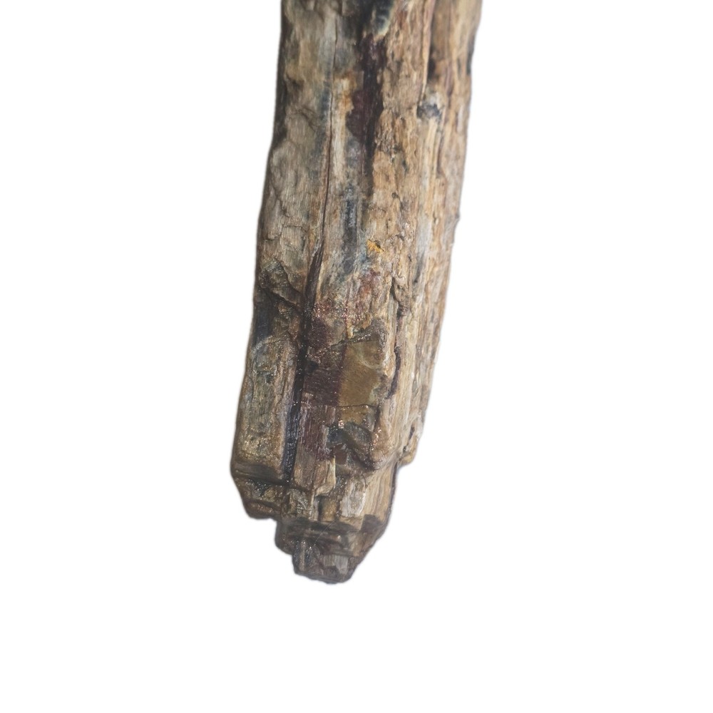 6lb Petrified Wood
