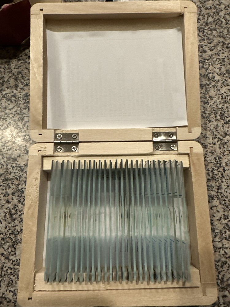 Biology 25 Prepared Microscope Slides