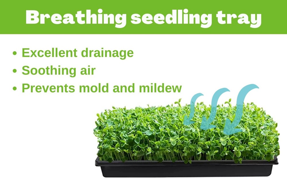 Mesh Bottom Trays 1020 for Soil Blocking, Seedling Starter, Microgreen Seed 10Pc