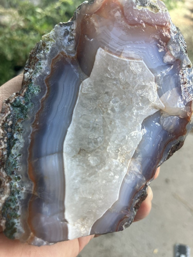 Laguna Agate Specimen (Rough)