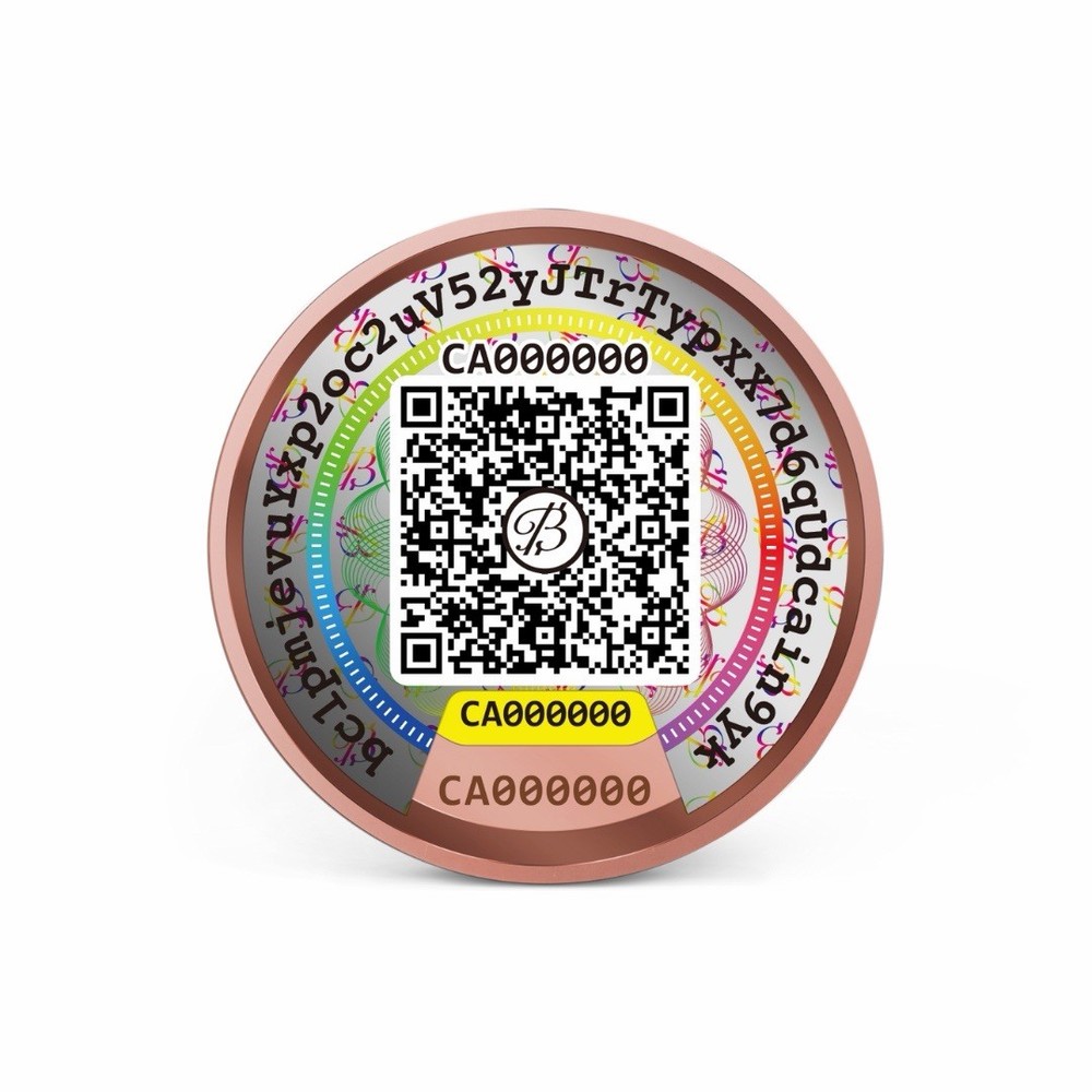 Patriot Crypto Bitcoin Miner Bundle - Nerdaxe + Copper Wallet