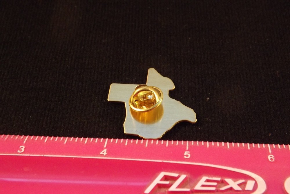Teens In The Drivers Seat Program Texas State Shaped Lapel Pin