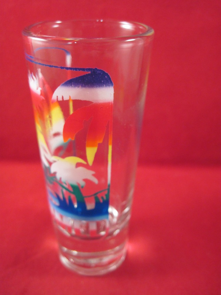 Cozmel Mexico Shot Glass
