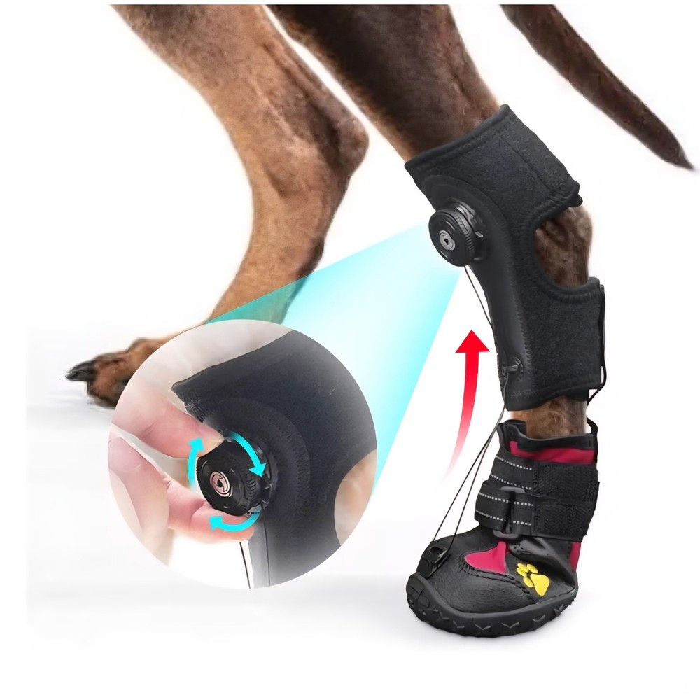 Drop Foot Brace No Knuckling For Dogs Size Medium