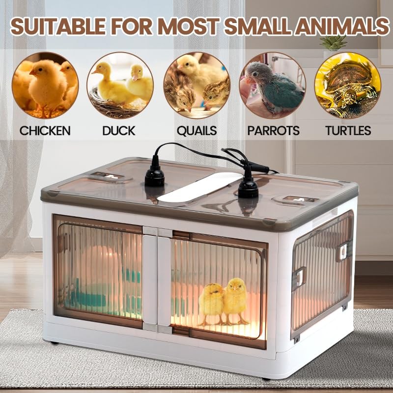 Brooder Box for Chicks Quail Brooder Box with Thermostat Poultry Heater