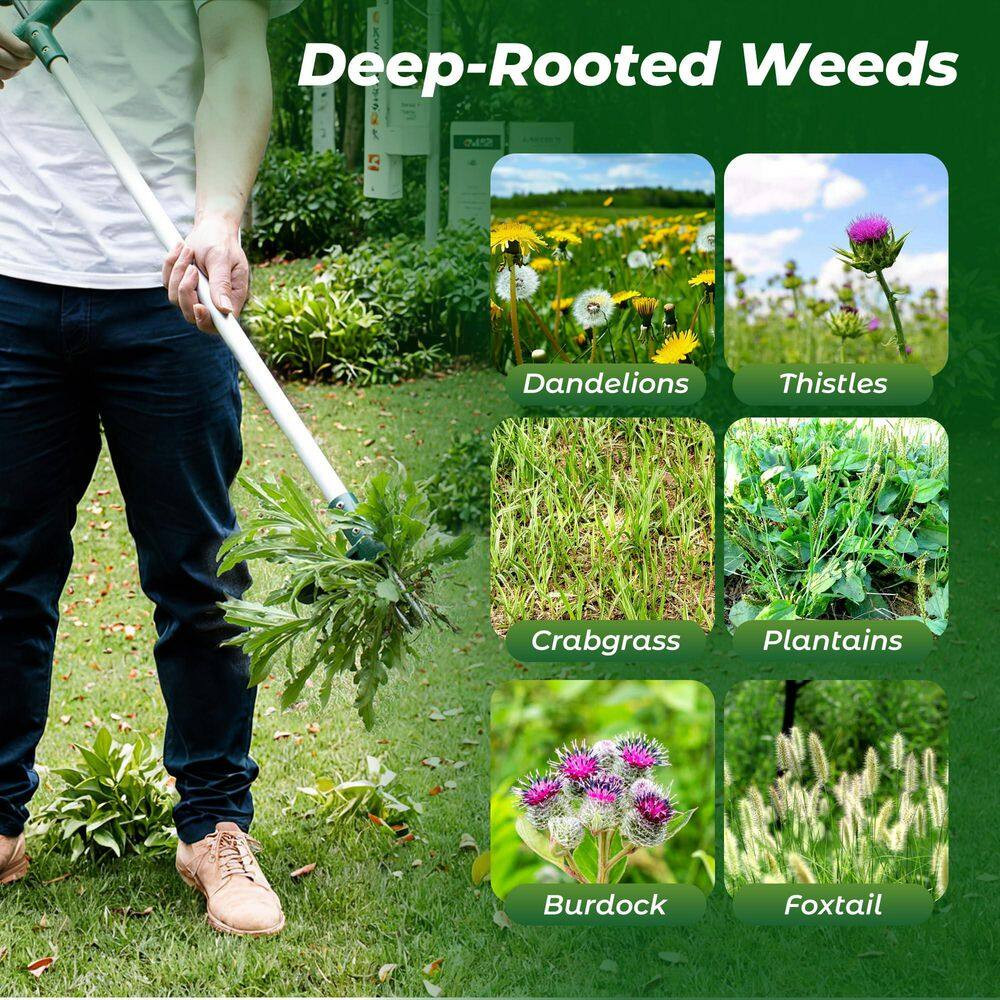 39 In. Weeder Stand up Hand Tool Long Handle 3 Claw Garden Root Puller for Dande