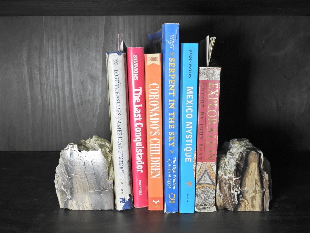 Book Ends Petrified Wood
