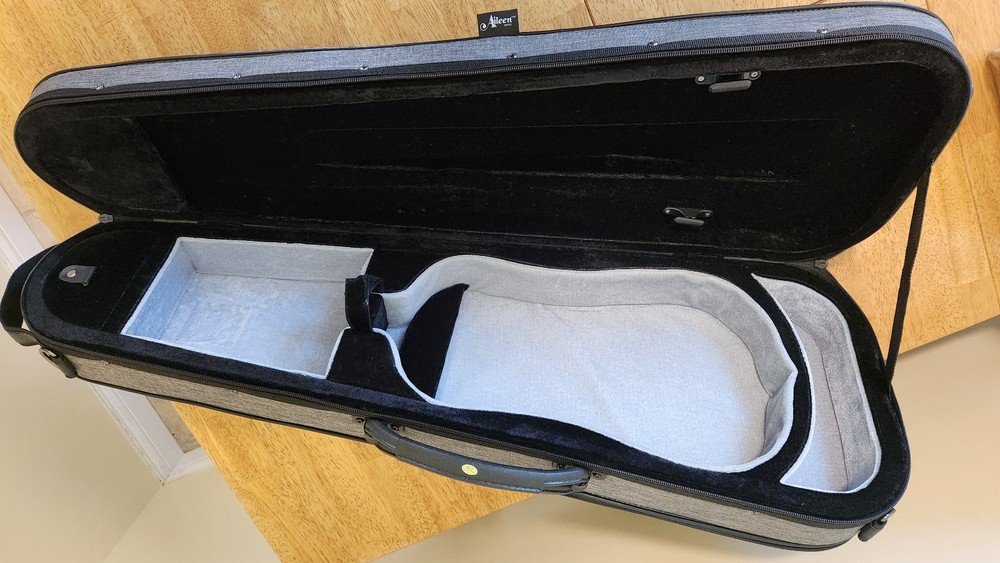 Aileen CSV502 Basic Professional 4/4 Full Size Violin Case Triangular Hard Shell