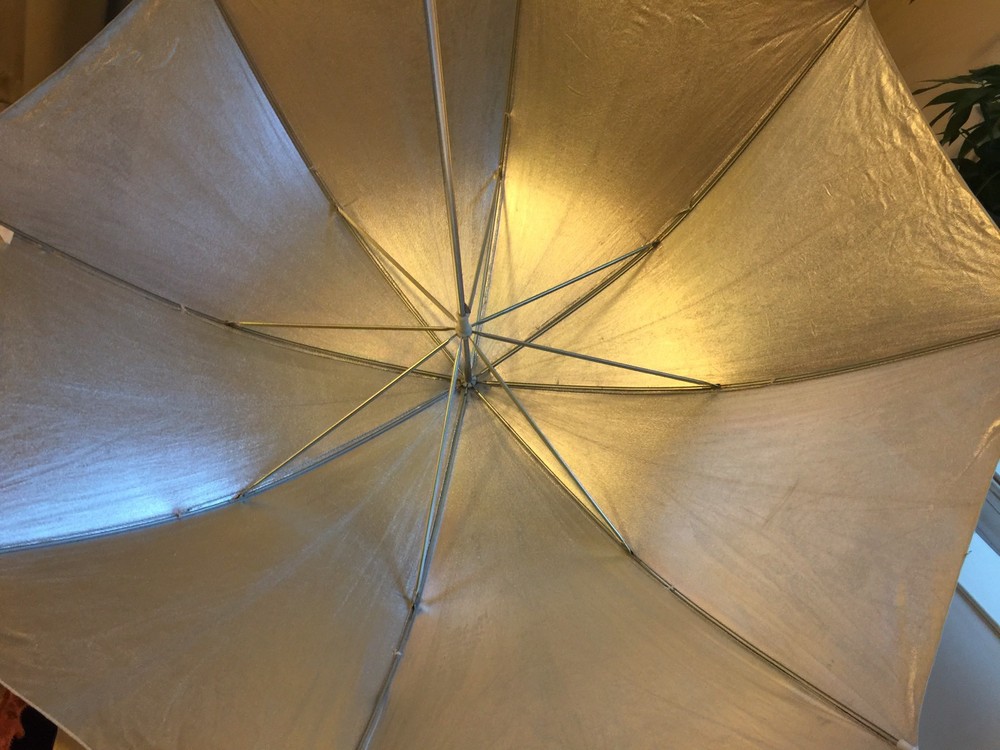 Rokunar Studio System Silver Photography Lighting Umbrella