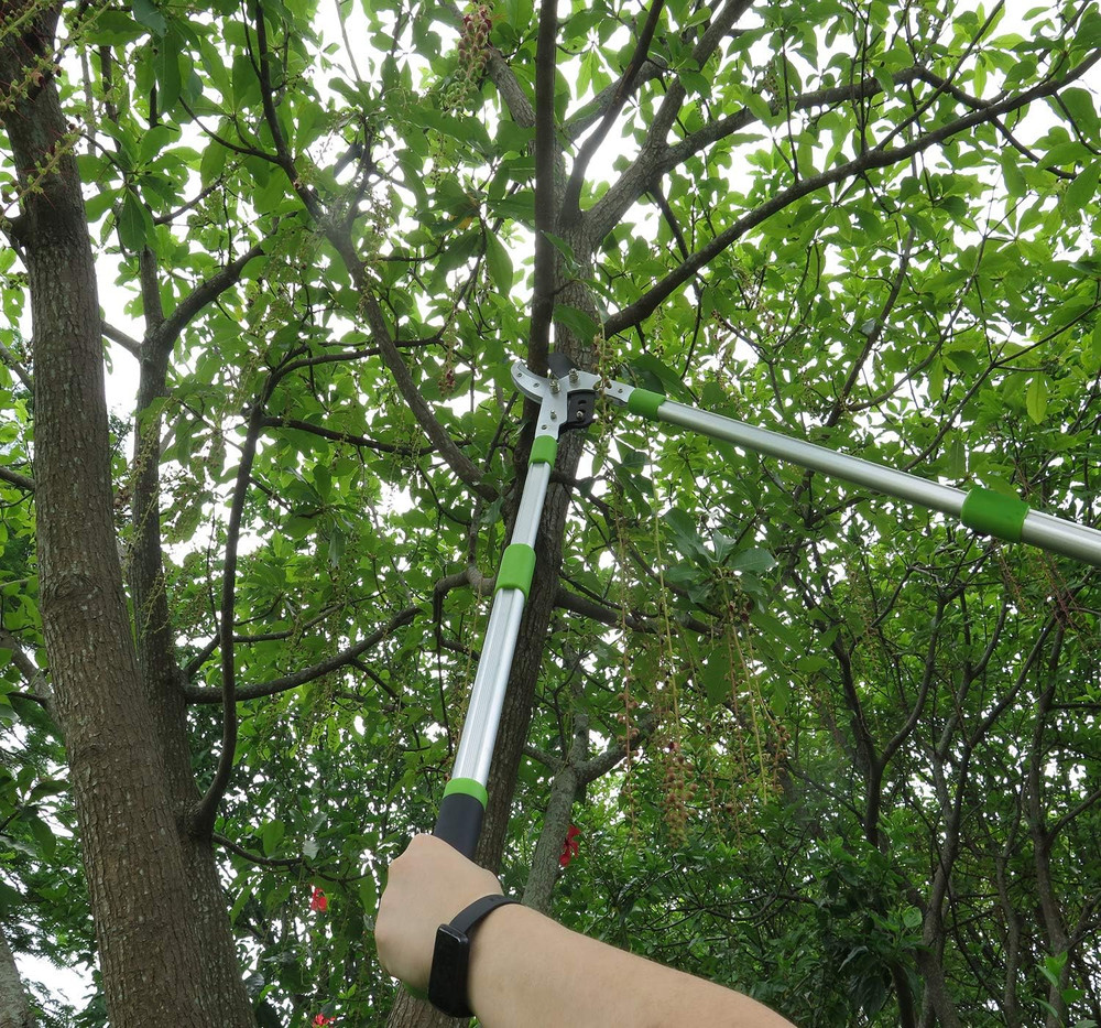 Bypass Lopper with Extendable, Anvil Lopper Heavy Duty, Tree Trimmer Telescopic