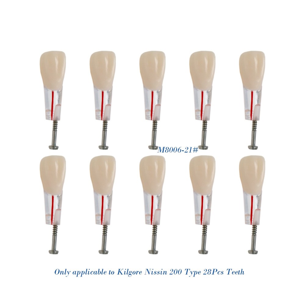 Dental 28Pcs Teeth Kilgore Nissin 200,Caries Root Canal Practice Replace Teeth