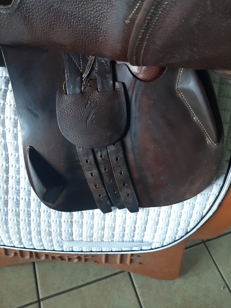 Antares Evolution Jump Saddle 17.5"