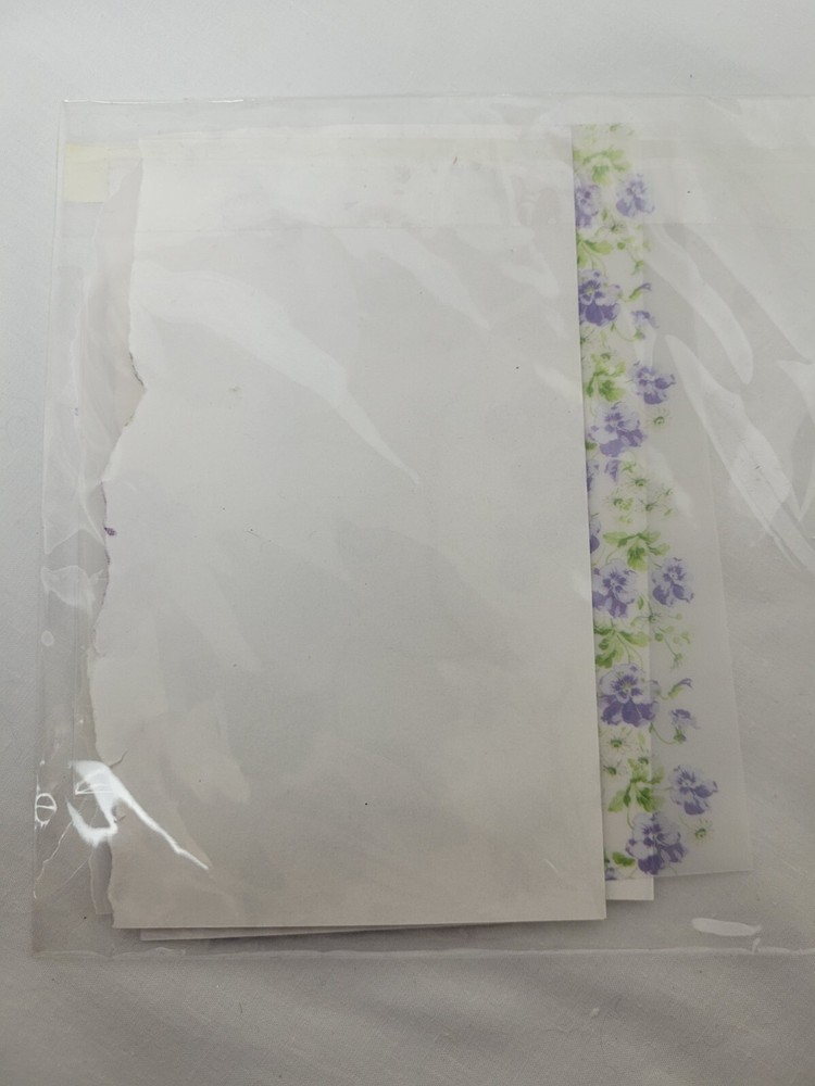 Scrapbook Paper 5 Pkg Assorted Laura Ashley Hanko Daisy D and Generic