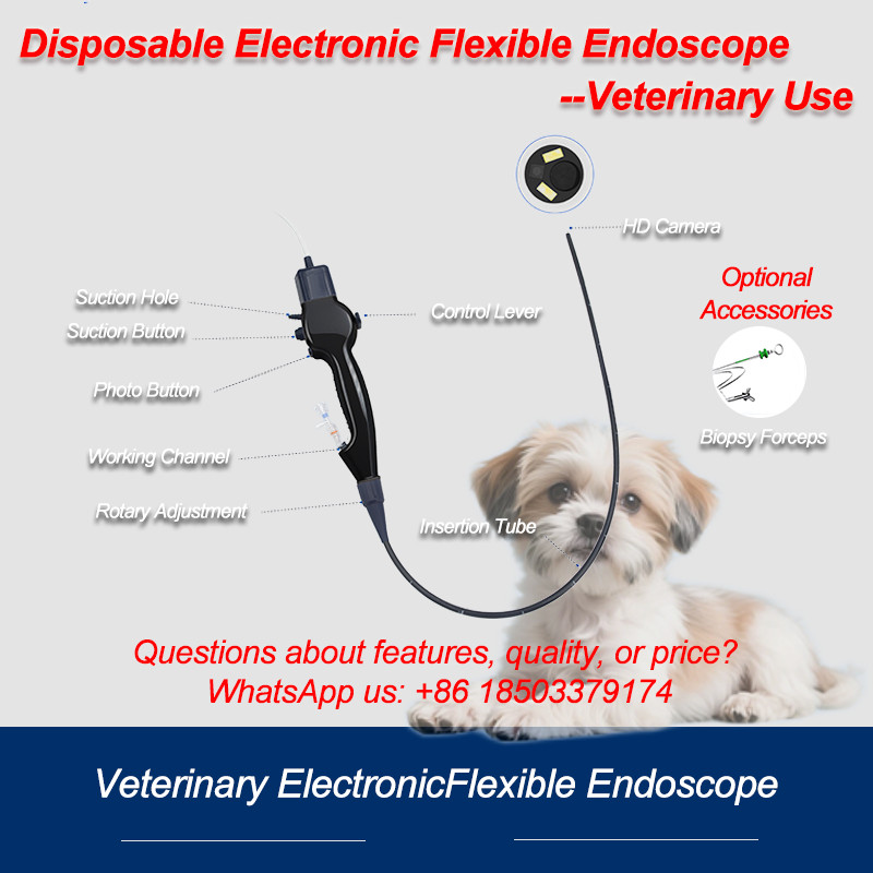 Disposable Flexible Veterinary Video Endoscope for Mobile & PC
