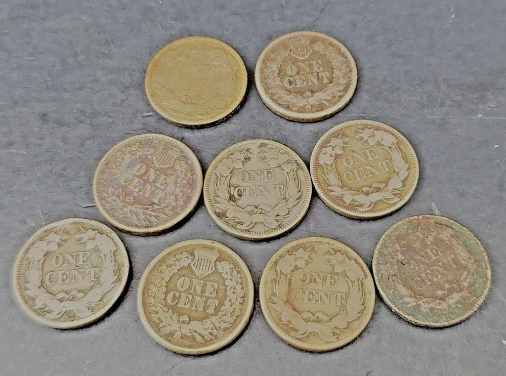 9 Mixed Flying Eagle & Indian Cent Collection