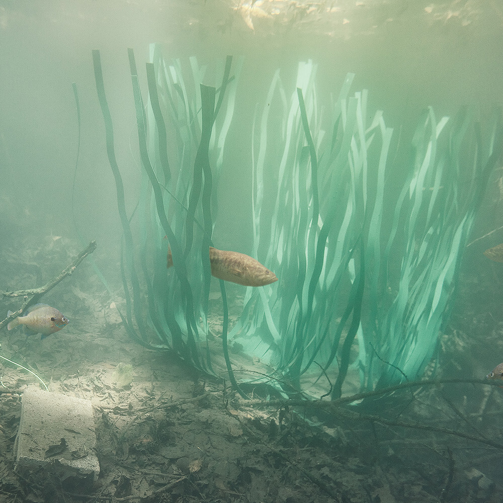 Texas Angler Fish Grass 24" - 6 Pack