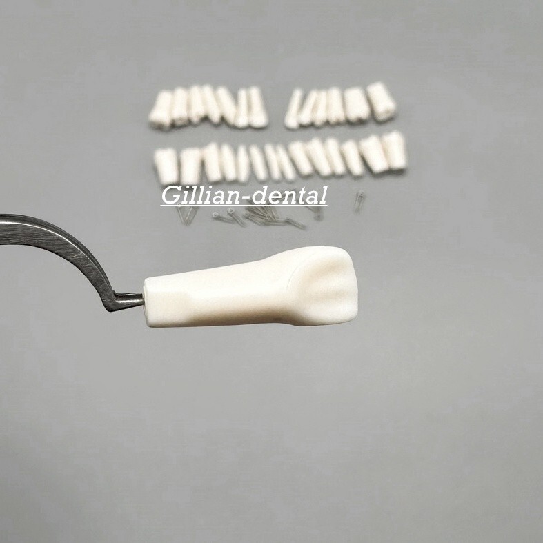 Dental Replacement Screw-in Teeth Typodont Model Practice Removable Tooth Models