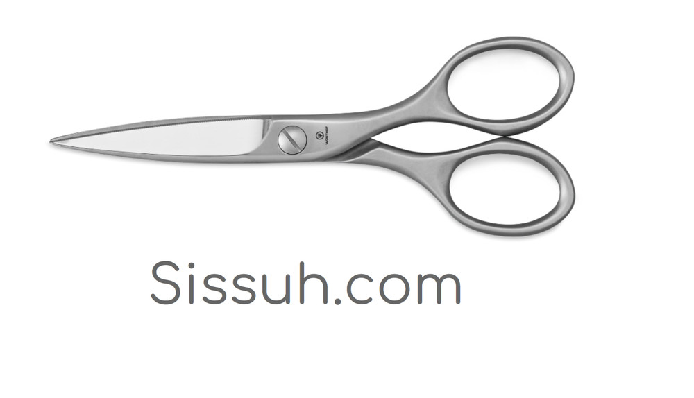 $29 - Sissuh.com - DOMAIN NAME - GoDaddy