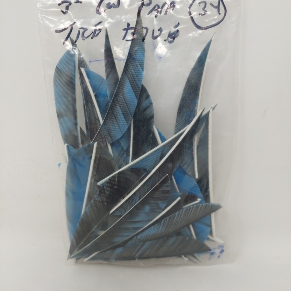 34 Count Archery Arrow Feathers 3" Left Wing: Parabolic Camo Tre Blue