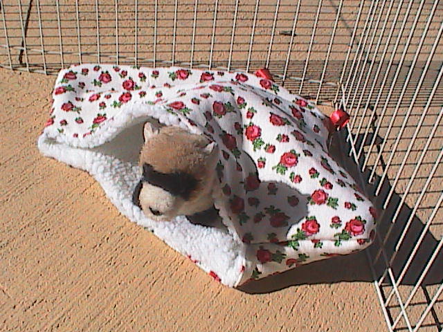 Ferret Sherpa Lined Corner Cubby - Red Roses