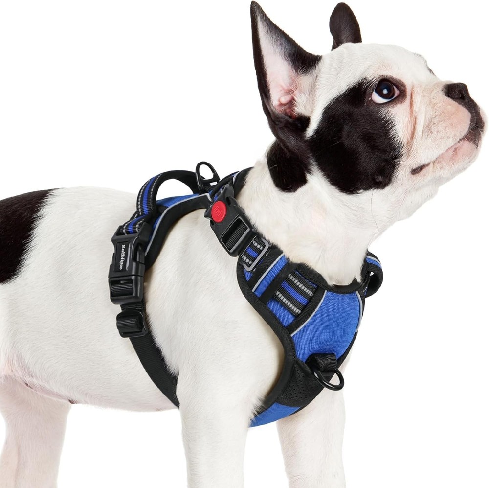 Dog Harness Medium Sized No Pull Pet Harness W/ 3 Buckles Adjustable Soft Padded