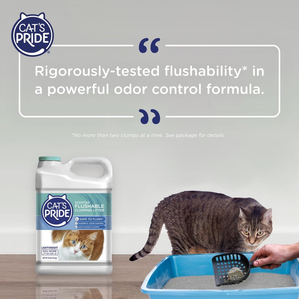 Lightweight Clumping Litter: Flushable - Powerful Odor Control - Scented, 10 ...