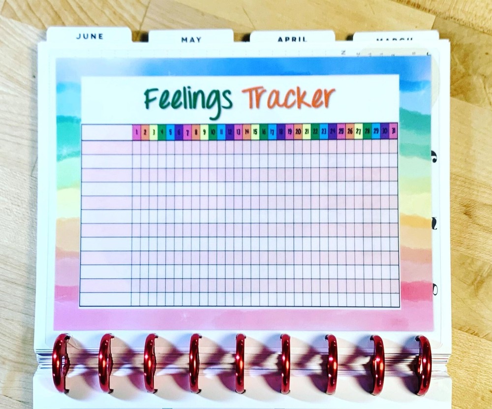 Feelings Emotions Wheel Tracker 2 Sided Dashboard Insert 4 use w/ HAPPY Planner-