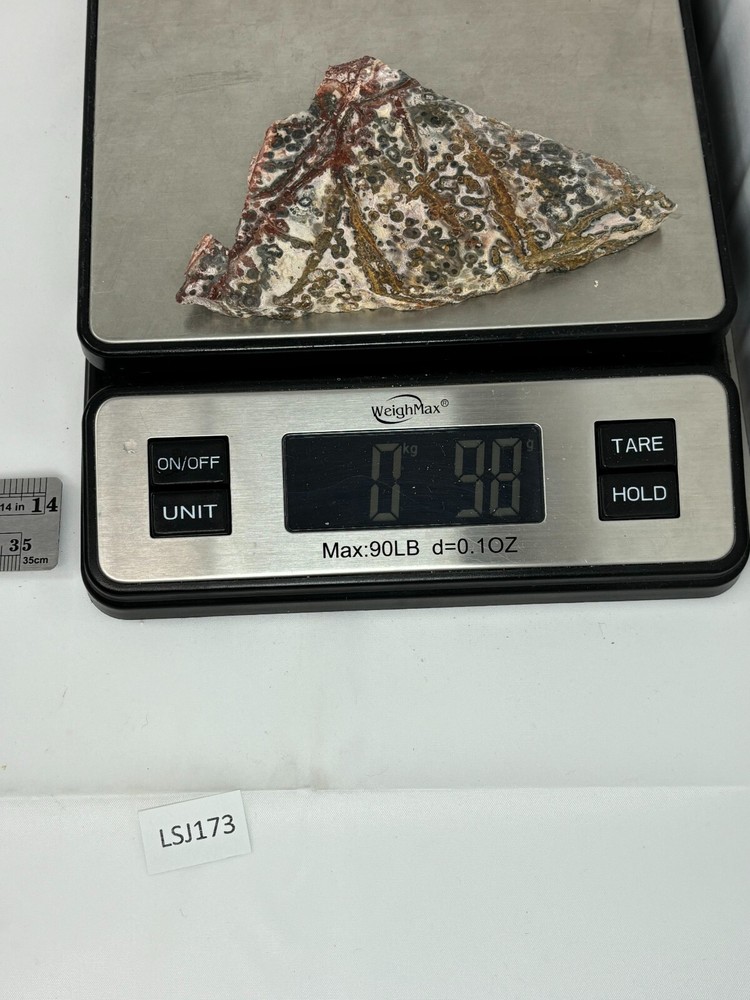 Orbicular Leopard Skin Jasper Slab Lapidary Cabbing Combo Ship Avail