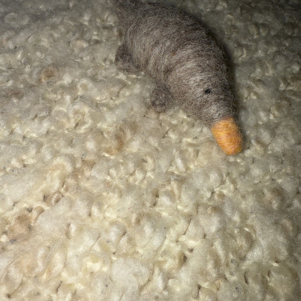Platypus Needle Felt Wool Handmade