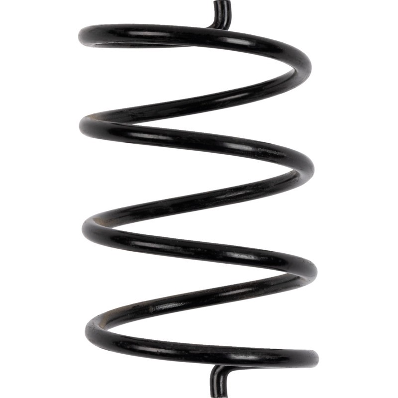 BikeMan Performance Secondary Springs #05-BLACKTS