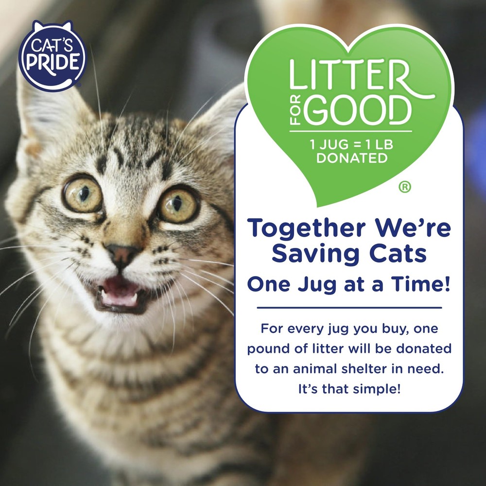Lightweight Clumping Litter: Flushable - Powerful Odor Control - Scented, 10 ...