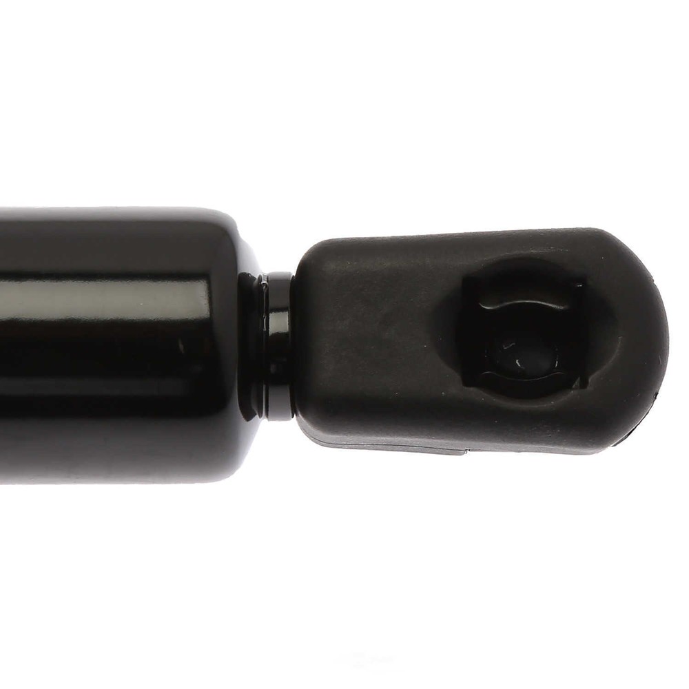 Liftgate Lift Support Strong Arm D6269
