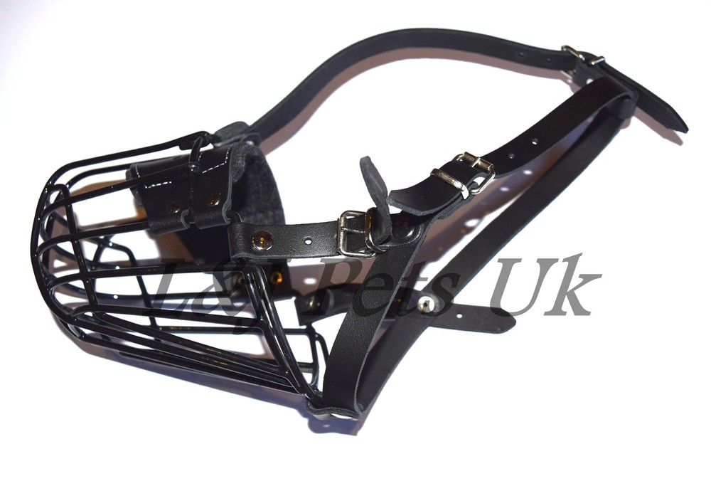 New STRONG Metal  Winter Wire Basket Dog Muzzle for Cocker Spaniel