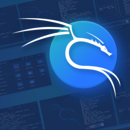 Linux Kali 2025.4, 64-bit, Bootable Live and Install USB Flash Drive