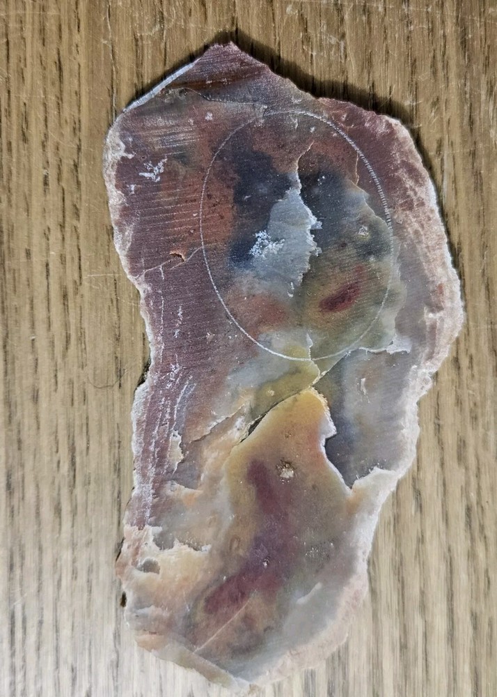 Rainbow Ridge Ledge Jasper Agate California 64 Grams