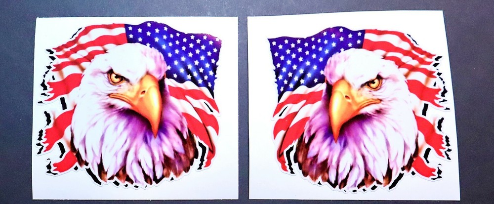 Stare of Freedom Custom Graphics Decals