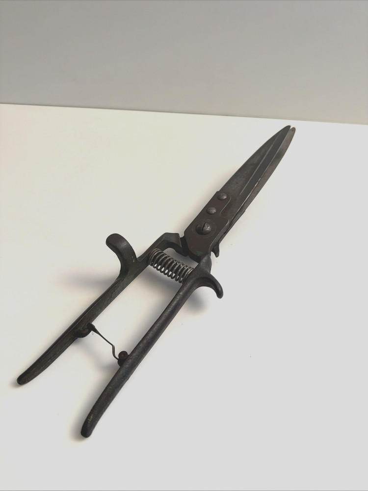 Garden / Grass Shears Vintage 12" Coil Spring Sharp! Nice Old Tool!